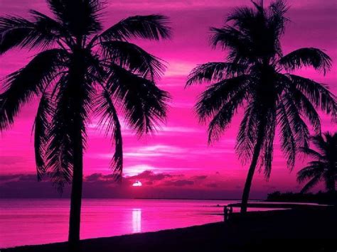 🔥 [40+] Pink Beach Sunset Wallpapers | WallpaperSafari