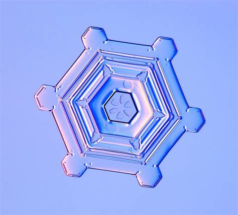 Snowflake Shapes Shine Under The Microscope : NPR