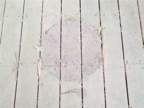 Discolored or Worn or Weathered Wood Deck Boards with Algae and ...