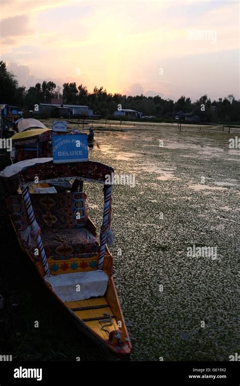 Shikara at Sunset, Lake Dal, Srinagar Stock Photo - Alamy