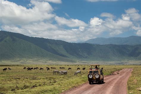 Ngorongoro Crater - Gibb's Farm | A Sanctuary for the Senses