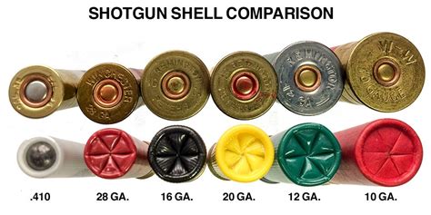 12 Gauge Shotgun Shells Types Chart