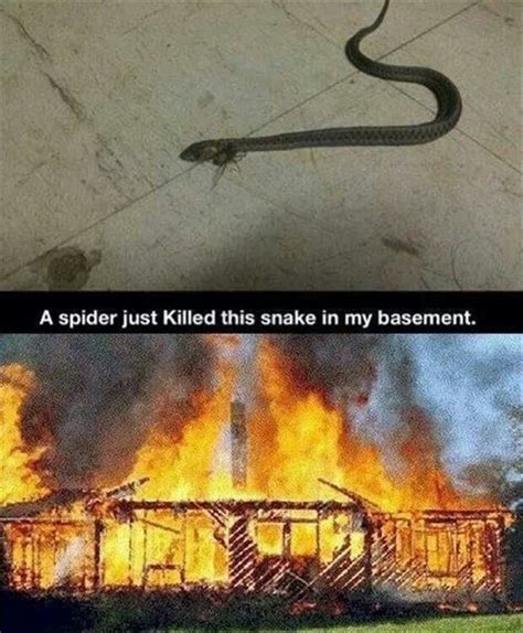 I would light my house on fire too | Funny pictures, Humor, Bones funny