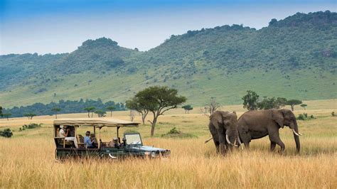 How To Book A Masai Mara Safari | Maasai Mara National Reserve