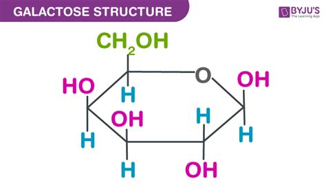 Galactose Formula - Definition, Formula, Structure And Properties