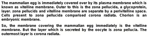 What is function of perivitelline space and Corona radiata?