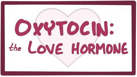 Knowledge Shot: Oxytocin: the Love Hormone.: Video, Causes, & Meaning | Osmosis