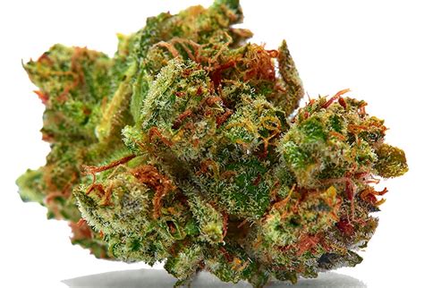 East Coast Sour Diesel Vs. Sour Diesel - JahCool