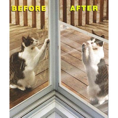 Keeping Cats from Scratching Screen Doors | ThriftyFun