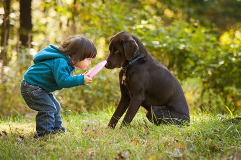 Do your kids love their pets more than this family member? | health enews