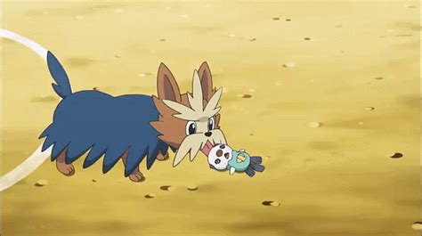 (GIF) How to revive a fainted Pokemon by PaperRony95 on DeviantArt