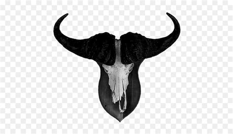 Free Cow Skull Silhouette, Download Free Cow Skull Silhouette png images, Free ClipArts on ...