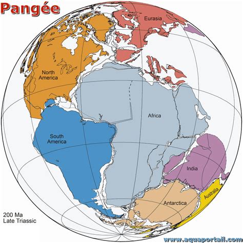 Pangée : définition et explications