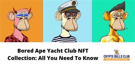 Bored Ape Yacht Club NFT Collection: All You Need To Know - Crypto ...