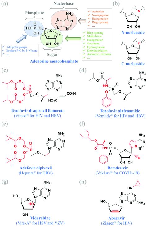 Adenosine monophosphate (a), N-nucleoside and C-nucleoside (b), and six... | Download Scientific ...