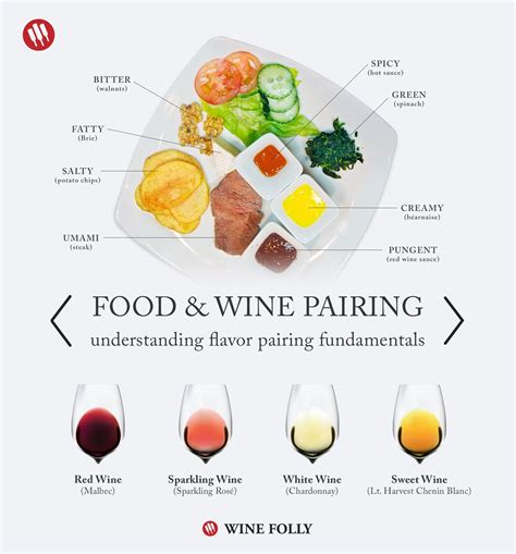 DIY Food and Wine Pairing Experiment | Wine Folly | Wine recipes, Wine food pairing, Food pairings