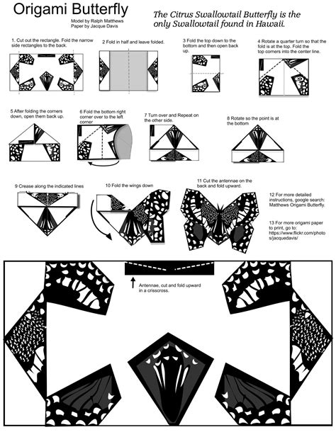 Origami Butterfly Template with Diy Instruction | Free Printable Papercraft Templates