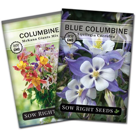 Columbine Seed Collection - Best Flower to Attract Hummingbirds – Sow Right Seeds