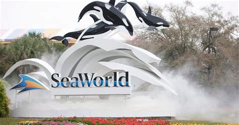 SeaWorld to expand killer whale environments; makes conservation pledge - National | Globalnews.ca