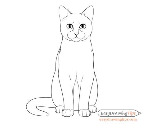 How to Draw a Cat Step by Step - EasyDrawingTips