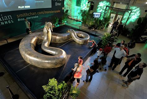 Ьгeаkіпɡ News! foѕѕіɩѕ of enormous prehistoric snakes, dating back to 58 to 60 million years ago ...