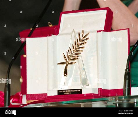 Palme dor award for hi-res stock photography and images - Alamy