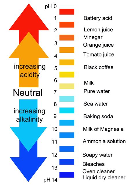 Ph Scale Acids And Bases