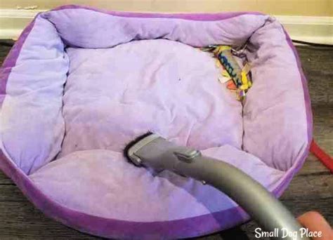 How to Clean a Dog Bed That Has No Removable Cover