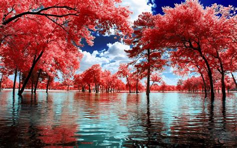 nature, Landscape, Surreal, Trees, Water, Park, Clouds, Pink, White ...