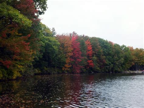 Wilson-lake-Fall | Acton Wakefield Watersheds Alliance