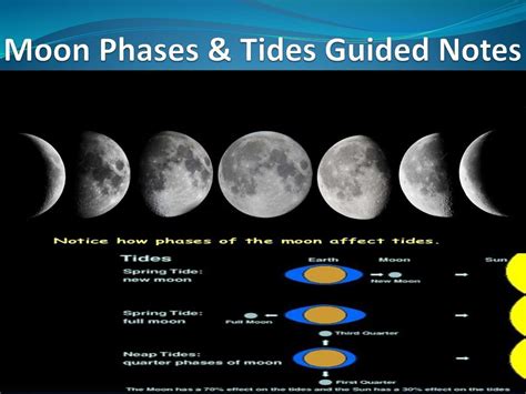 Moon Phases & Tides Guided Notes - ppt download | Moon phases, Guided notes, Tide