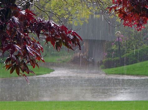 836 Hd Wallpaper Rainy Nature - MyWeb