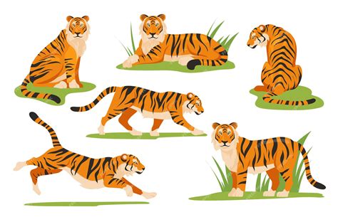 Premium Vector | Cartoon tiger set