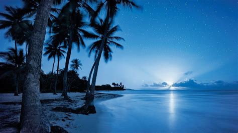 Nighttime Beach Wallpaper