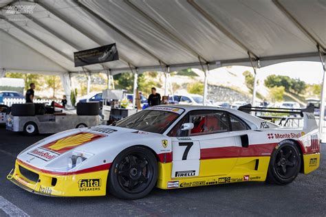 Ferrari F40 LM at The Sonoma Speed Festival | MotorMavens • Car Culture & Photography