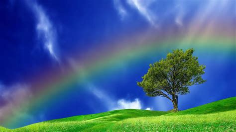 Rainbow Sky Wallpapers - Top Free Rainbow Sky Backgrounds - WallpaperAccess