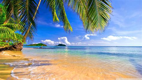 Tropical Beach Wallpaper (68+ pictures) - WallpaperSet