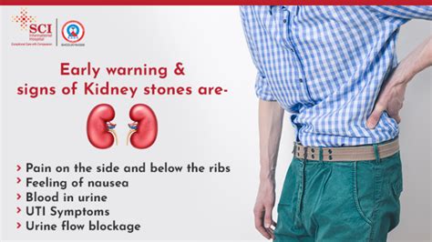 Learn more about the kidney stone symptoms - SCI International Hospital ...