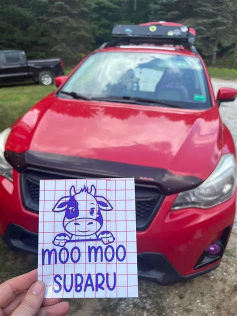 Moo Moo Subaru Decal - Etsy