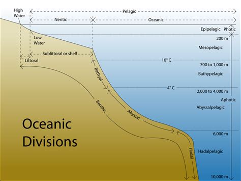 File:Oceanic divisions.svg - New World Encyclopedia