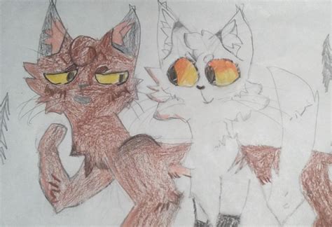 Blackstar and Sol! | Warrior Cats