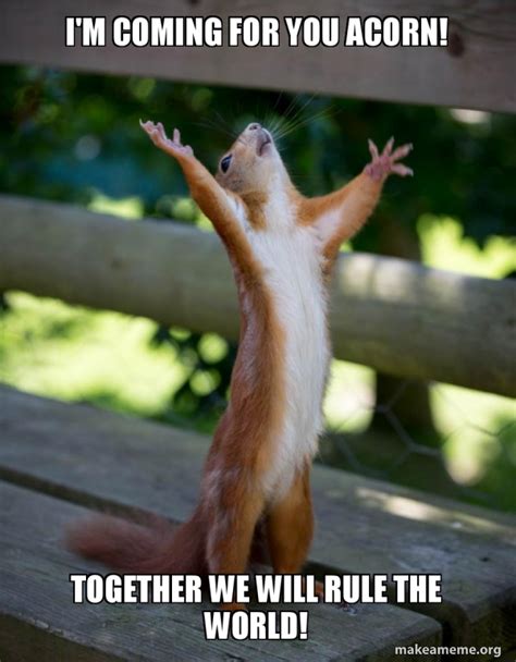 i'm coming for you acorn! together we will rule the world! - Happy Squirrel Meme Generator