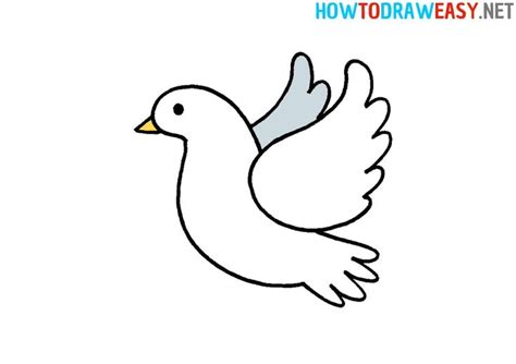 How to Draw a Dove | Drawings, Easy drawings, Bird drawings