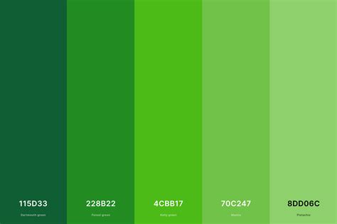 35+ Best Green Color Palettes with Names and Hex Codes – CreativeBooster