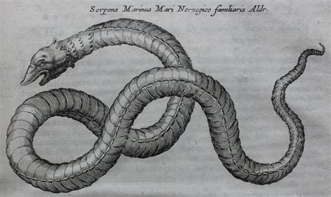 Sea Serpent of Norway | Mythical Creature Edward Worth LIbrary