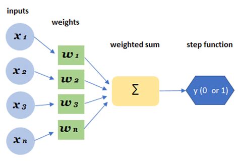 Introduction to Perceptron Algorithm - Michael Fuchs Python