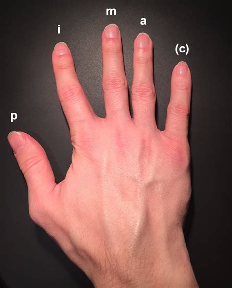 Left and Right Hand | Basic Roles When Playing Guitar