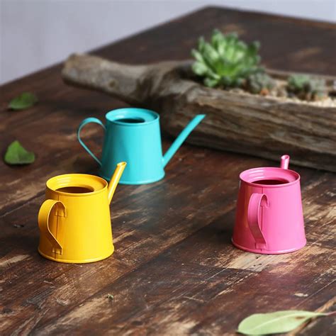 A1 Mini color small kettle gardening watering can meaty pot watering kettle lo1020414-in Water ...