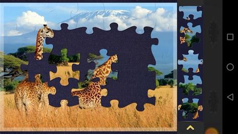 Types of Jigsaw Puzzles – Magic Jigsaw Puzzles