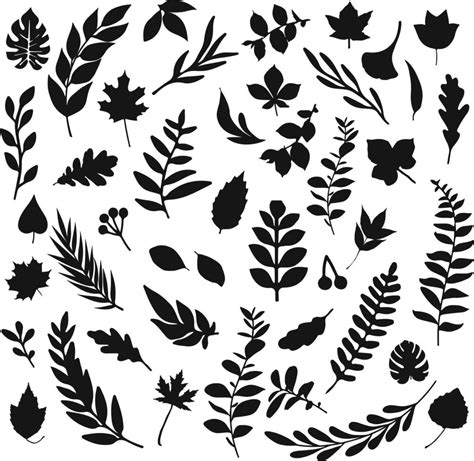 Black leaf inked silhouettes set. vector isolated illustration 10756583 Vector Art at Vecteezy